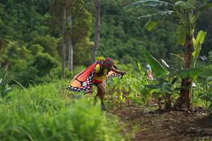 BIB: 
                            <button type="button" onclick="openModal(13304076)" class="btn btn-primary btn-sm float-right btn-popup" data-toggle="modal" data-target=".modal-high-quality">
                        <i class="fas fa-shopping-cart"></i> Add to Cart
                    </button>
                                            <button type="button" onclick="isThisMe(13304076, true)" class="btn btn-success btn-sm float-right btn-popup btn-isme hidden" data-toggle="tooltip" data-placement="bottom" title="นี่คือรูปของคุณใช่ไหม คลิกที่นี่เพื่อเอาเข้าอัลบั้ม">
                        <i class="fas fa-plus"></i> Add to album
                    </button>
                    <button type="button" onclick="isThisMe(13304076, false)" class="btn btn-warning btn-sm float-right btn-popup btn-isnotme hidden">
                        <i class="fas fa-ban"></i> Remove from album
                    </button>