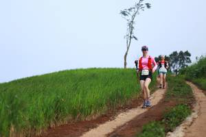 BIB: 
                            <button type="button" onclick="openModal(13304472)" class="btn btn-primary btn-sm float-right btn-popup" data-toggle="modal" data-target=".modal-high-quality">
                        <i class="fas fa-shopping-cart"></i> Add to Cart
                    </button>
                                            <button type="button" onclick="isThisMe(13304472, true)" class="btn btn-success btn-sm float-right btn-popup btn-isme hidden" data-toggle="tooltip" data-placement="bottom" title="นี่คือรูปของคุณใช่ไหม คลิกที่นี่เพื่อเอาเข้าอัลบั้ม">
                        <i class="fas fa-plus"></i> Add to album
                    </button>
                    <button type="button" onclick="isThisMe(13304472, false)" class="btn btn-warning btn-sm float-right btn-popup btn-isnotme hidden">
                        <i class="fas fa-ban"></i> Remove from album
                    </button>