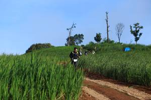 BIB: 
                            <button type="button" onclick="openModal(13305289)" class="btn btn-primary btn-sm float-right btn-popup" data-toggle="modal" data-target=".modal-high-quality">
                        <i class="fas fa-shopping-cart"></i> Add to Cart
                    </button>
                                            <button type="button" onclick="isThisMe(13305289, true)" class="btn btn-success btn-sm float-right btn-popup btn-isme hidden" data-toggle="tooltip" data-placement="bottom" title="นี่คือรูปของคุณใช่ไหม คลิกที่นี่เพื่อเอาเข้าอัลบั้ม">
                        <i class="fas fa-plus"></i> Add to album
                    </button>
                    <button type="button" onclick="isThisMe(13305289, false)" class="btn btn-warning btn-sm float-right btn-popup btn-isnotme hidden">
                        <i class="fas fa-ban"></i> Remove from album
                    </button>