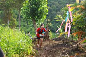 BIB: 
                            <button type="button" onclick="openModal(13304097)" class="btn btn-primary btn-sm float-right btn-popup" data-toggle="modal" data-target=".modal-high-quality">
                        <i class="fas fa-shopping-cart"></i> Add to Cart
                    </button>
                                            <button type="button" onclick="isThisMe(13304097, true)" class="btn btn-success btn-sm float-right btn-popup btn-isme hidden" data-toggle="tooltip" data-placement="bottom" title="นี่คือรูปของคุณใช่ไหม คลิกที่นี่เพื่อเอาเข้าอัลบั้ม">
                        <i class="fas fa-plus"></i> Add to album
                    </button>
                    <button type="button" onclick="isThisMe(13304097, false)" class="btn btn-warning btn-sm float-right btn-popup btn-isnotme hidden">
                        <i class="fas fa-ban"></i> Remove from album
                    </button>