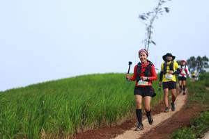 BIB: 
                            <button type="button" onclick="openModal(13304871)" class="btn btn-primary btn-sm float-right btn-popup" data-toggle="modal" data-target=".modal-high-quality">
                        <i class="fas fa-shopping-cart"></i> Add to Cart
                    </button>
                                            <button type="button" onclick="isThisMe(13304871, true)" class="btn btn-success btn-sm float-right btn-popup btn-isme hidden" data-toggle="tooltip" data-placement="bottom" title="นี่คือรูปของคุณใช่ไหม คลิกที่นี่เพื่อเอาเข้าอัลบั้ม">
                        <i class="fas fa-plus"></i> Add to album
                    </button>
                    <button type="button" onclick="isThisMe(13304871, false)" class="btn btn-warning btn-sm float-right btn-popup btn-isnotme hidden">
                        <i class="fas fa-ban"></i> Remove from album
                    </button>