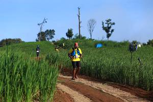 BIB: 
                            <button type="button" onclick="openModal(13305303)" class="btn btn-primary btn-sm float-right btn-popup" data-toggle="modal" data-target=".modal-high-quality">
                        <i class="fas fa-shopping-cart"></i> Add to Cart
                    </button>
                                            <button type="button" onclick="isThisMe(13305303, true)" class="btn btn-success btn-sm float-right btn-popup btn-isme hidden" data-toggle="tooltip" data-placement="bottom" title="นี่คือรูปของคุณใช่ไหม คลิกที่นี่เพื่อเอาเข้าอัลบั้ม">
                        <i class="fas fa-plus"></i> Add to album
                    </button>
                    <button type="button" onclick="isThisMe(13305303, false)" class="btn btn-warning btn-sm float-right btn-popup btn-isnotme hidden">
                        <i class="fas fa-ban"></i> Remove from album
                    </button>