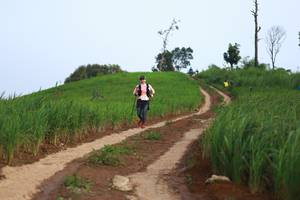 BIB: 
                            <button type="button" onclick="openModal(13304454)" class="btn btn-primary btn-sm float-right btn-popup" data-toggle="modal" data-target=".modal-high-quality">
                        <i class="fas fa-shopping-cart"></i> Add to Cart
                    </button>
                                            <button type="button" onclick="isThisMe(13304454, true)" class="btn btn-success btn-sm float-right btn-popup btn-isme hidden" data-toggle="tooltip" data-placement="bottom" title="นี่คือรูปของคุณใช่ไหม คลิกที่นี่เพื่อเอาเข้าอัลบั้ม">
                        <i class="fas fa-plus"></i> Add to album
                    </button>
                    <button type="button" onclick="isThisMe(13304454, false)" class="btn btn-warning btn-sm float-right btn-popup btn-isnotme hidden">
                        <i class="fas fa-ban"></i> Remove from album
                    </button>