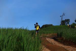 BIB: 
                            <button type="button" onclick="openModal(13305637)" class="btn btn-primary btn-sm float-right btn-popup" data-toggle="modal" data-target=".modal-high-quality">
                        <i class="fas fa-shopping-cart"></i> Add to Cart
                    </button>
                                            <button type="button" onclick="isThisMe(13305637, true)" class="btn btn-success btn-sm float-right btn-popup btn-isme hidden" data-toggle="tooltip" data-placement="bottom" title="นี่คือรูปของคุณใช่ไหม คลิกที่นี่เพื่อเอาเข้าอัลบั้ม">
                        <i class="fas fa-plus"></i> Add to album
                    </button>
                    <button type="button" onclick="isThisMe(13305637, false)" class="btn btn-warning btn-sm float-right btn-popup btn-isnotme hidden">
                        <i class="fas fa-ban"></i> Remove from album
                    </button>