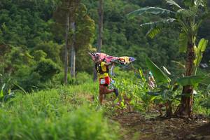 BIB: 
                            <button type="button" onclick="openModal(13304070)" class="btn btn-primary btn-sm float-right btn-popup" data-toggle="modal" data-target=".modal-high-quality">
                        <i class="fas fa-shopping-cart"></i> Add to Cart
                    </button>
                                            <button type="button" onclick="isThisMe(13304070, true)" class="btn btn-success btn-sm float-right btn-popup btn-isme hidden" data-toggle="tooltip" data-placement="bottom" title="นี่คือรูปของคุณใช่ไหม คลิกที่นี่เพื่อเอาเข้าอัลบั้ม">
                        <i class="fas fa-plus"></i> Add to album
                    </button>
                    <button type="button" onclick="isThisMe(13304070, false)" class="btn btn-warning btn-sm float-right btn-popup btn-isnotme hidden">
                        <i class="fas fa-ban"></i> Remove from album
                    </button>