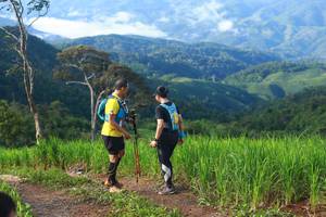 BIB: 
                            <button type="button" onclick="openModal(13305123)" class="btn btn-primary btn-sm float-right btn-popup" data-toggle="modal" data-target=".modal-high-quality">
                        <i class="fas fa-shopping-cart"></i> Add to Cart
                    </button>
                                            <button type="button" onclick="isThisMe(13305123, true)" class="btn btn-success btn-sm float-right btn-popup btn-isme hidden" data-toggle="tooltip" data-placement="bottom" title="นี่คือรูปของคุณใช่ไหม คลิกที่นี่เพื่อเอาเข้าอัลบั้ม">
                        <i class="fas fa-plus"></i> Add to album
                    </button>
                    <button type="button" onclick="isThisMe(13305123, false)" class="btn btn-warning btn-sm float-right btn-popup btn-isnotme hidden">
                        <i class="fas fa-ban"></i> Remove from album
                    </button>