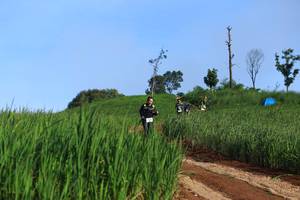 BIB: 
                            <button type="button" onclick="openModal(13305277)" class="btn btn-primary btn-sm float-right btn-popup" data-toggle="modal" data-target=".modal-high-quality">
                        <i class="fas fa-shopping-cart"></i> Add to Cart
                    </button>
                                            <button type="button" onclick="isThisMe(13305277, true)" class="btn btn-success btn-sm float-right btn-popup btn-isme hidden" data-toggle="tooltip" data-placement="bottom" title="นี่คือรูปของคุณใช่ไหม คลิกที่นี่เพื่อเอาเข้าอัลบั้ม">
                        <i class="fas fa-plus"></i> Add to album
                    </button>
                    <button type="button" onclick="isThisMe(13305277, false)" class="btn btn-warning btn-sm float-right btn-popup btn-isnotme hidden">
                        <i class="fas fa-ban"></i> Remove from album
                    </button>