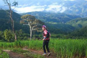 BIB: 
                            <button type="button" onclick="openModal(13305016)" class="btn btn-primary btn-sm float-right btn-popup" data-toggle="modal" data-target=".modal-high-quality">
                        <i class="fas fa-shopping-cart"></i> Add to Cart
                    </button>
                                            <button type="button" onclick="isThisMe(13305016, true)" class="btn btn-success btn-sm float-right btn-popup btn-isme hidden" data-toggle="tooltip" data-placement="bottom" title="นี่คือรูปของคุณใช่ไหม คลิกที่นี่เพื่อเอาเข้าอัลบั้ม">
                        <i class="fas fa-plus"></i> Add to album
                    </button>
                    <button type="button" onclick="isThisMe(13305016, false)" class="btn btn-warning btn-sm float-right btn-popup btn-isnotme hidden">
                        <i class="fas fa-ban"></i> Remove from album
                    </button>