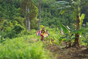 BIB: 
                            <button type="button" onclick="openModal(13304064)" class="btn btn-primary btn-sm float-right btn-popup" data-toggle="modal" data-target=".modal-high-quality">
                        <i class="fas fa-shopping-cart"></i> Add to Cart
                    </button>
                                            <button type="button" onclick="isThisMe(13304064, true)" class="btn btn-success btn-sm float-right btn-popup btn-isme hidden" data-toggle="tooltip" data-placement="bottom" title="นี่คือรูปของคุณใช่ไหม คลิกที่นี่เพื่อเอาเข้าอัลบั้ม">
                        <i class="fas fa-plus"></i> Add to album
                    </button>
                    <button type="button" onclick="isThisMe(13304064, false)" class="btn btn-warning btn-sm float-right btn-popup btn-isnotme hidden">
                        <i class="fas fa-ban"></i> Remove from album
                    </button>