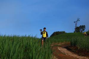 BIB: 
                            <button type="button" onclick="openModal(13305646)" class="btn btn-primary btn-sm float-right btn-popup" data-toggle="modal" data-target=".modal-high-quality">
                        <i class="fas fa-shopping-cart"></i> Add to Cart
                    </button>
                                            <button type="button" onclick="isThisMe(13305646, true)" class="btn btn-success btn-sm float-right btn-popup btn-isme hidden" data-toggle="tooltip" data-placement="bottom" title="นี่คือรูปของคุณใช่ไหม คลิกที่นี่เพื่อเอาเข้าอัลบั้ม">
                        <i class="fas fa-plus"></i> Add to album
                    </button>
                    <button type="button" onclick="isThisMe(13305646, false)" class="btn btn-warning btn-sm float-right btn-popup btn-isnotme hidden">
                        <i class="fas fa-ban"></i> Remove from album
                    </button>