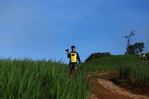 BIB: 
                            <button type="button" onclick="openModal(13305649)" class="btn btn-primary btn-sm float-right btn-popup" data-toggle="modal" data-target=".modal-high-quality">
                        <i class="fas fa-shopping-cart"></i> Add to Cart
                    </button>
                                            <button type="button" onclick="isThisMe(13305649, true)" class="btn btn-success btn-sm float-right btn-popup btn-isme hidden" data-toggle="tooltip" data-placement="bottom" title="นี่คือรูปของคุณใช่ไหม คลิกที่นี่เพื่อเอาเข้าอัลบั้ม">
                        <i class="fas fa-plus"></i> Add to album
                    </button>
                    <button type="button" onclick="isThisMe(13305649, false)" class="btn btn-warning btn-sm float-right btn-popup btn-isnotme hidden">
                        <i class="fas fa-ban"></i> Remove from album
                    </button>