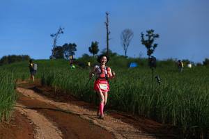 BIB: 
                            <button type="button" onclick="openModal(13305607)" class="btn btn-primary btn-sm float-right btn-popup" data-toggle="modal" data-target=".modal-high-quality">
                        <i class="fas fa-shopping-cart"></i> Add to Cart
                    </button>
                                            <button type="button" onclick="isThisMe(13305607, true)" class="btn btn-success btn-sm float-right btn-popup btn-isme hidden" data-toggle="tooltip" data-placement="bottom" title="นี่คือรูปของคุณใช่ไหม คลิกที่นี่เพื่อเอาเข้าอัลบั้ม">
                        <i class="fas fa-plus"></i> Add to album
                    </button>
                    <button type="button" onclick="isThisMe(13305607, false)" class="btn btn-warning btn-sm float-right btn-popup btn-isnotme hidden">
                        <i class="fas fa-ban"></i> Remove from album
                    </button>