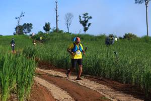 BIB: 
                            <button type="button" onclick="openModal(13305320)" class="btn btn-primary btn-sm float-right btn-popup" data-toggle="modal" data-target=".modal-high-quality">
                        <i class="fas fa-shopping-cart"></i> Add to Cart
                    </button>
                                            <button type="button" onclick="isThisMe(13305320, true)" class="btn btn-success btn-sm float-right btn-popup btn-isme hidden" data-toggle="tooltip" data-placement="bottom" title="นี่คือรูปของคุณใช่ไหม คลิกที่นี่เพื่อเอาเข้าอัลบั้ม">
                        <i class="fas fa-plus"></i> Add to album
                    </button>
                    <button type="button" onclick="isThisMe(13305320, false)" class="btn btn-warning btn-sm float-right btn-popup btn-isnotme hidden">
                        <i class="fas fa-ban"></i> Remove from album
                    </button>