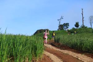 BIB: 
                            <button type="button" onclick="openModal(13305331)" class="btn btn-primary btn-sm float-right btn-popup" data-toggle="modal" data-target=".modal-high-quality">
                        <i class="fas fa-shopping-cart"></i> Add to Cart
                    </button>
                                            <button type="button" onclick="isThisMe(13305331, true)" class="btn btn-success btn-sm float-right btn-popup btn-isme hidden" data-toggle="tooltip" data-placement="bottom" title="นี่คือรูปของคุณใช่ไหม คลิกที่นี่เพื่อเอาเข้าอัลบั้ม">
                        <i class="fas fa-plus"></i> Add to album
                    </button>
                    <button type="button" onclick="isThisMe(13305331, false)" class="btn btn-warning btn-sm float-right btn-popup btn-isnotme hidden">
                        <i class="fas fa-ban"></i> Remove from album
                    </button>