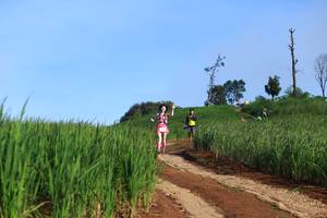 BIB: 
                            <button type="button" onclick="openModal(13305323)" class="btn btn-primary btn-sm float-right btn-popup" data-toggle="modal" data-target=".modal-high-quality">
                        <i class="fas fa-shopping-cart"></i> Add to Cart
                    </button>
                                            <button type="button" onclick="isThisMe(13305323, true)" class="btn btn-success btn-sm float-right btn-popup btn-isme hidden" data-toggle="tooltip" data-placement="bottom" title="นี่คือรูปของคุณใช่ไหม คลิกที่นี่เพื่อเอาเข้าอัลบั้ม">
                        <i class="fas fa-plus"></i> Add to album
                    </button>
                    <button type="button" onclick="isThisMe(13305323, false)" class="btn btn-warning btn-sm float-right btn-popup btn-isnotme hidden">
                        <i class="fas fa-ban"></i> Remove from album
                    </button>