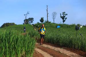 BIB: 
                            <button type="button" onclick="openModal(13305302)" class="btn btn-primary btn-sm float-right btn-popup" data-toggle="modal" data-target=".modal-high-quality">
                        <i class="fas fa-shopping-cart"></i> Add to Cart
                    </button>
                                            <button type="button" onclick="isThisMe(13305302, true)" class="btn btn-success btn-sm float-right btn-popup btn-isme hidden" data-toggle="tooltip" data-placement="bottom" title="นี่คือรูปของคุณใช่ไหม คลิกที่นี่เพื่อเอาเข้าอัลบั้ม">
                        <i class="fas fa-plus"></i> Add to album
                    </button>
                    <button type="button" onclick="isThisMe(13305302, false)" class="btn btn-warning btn-sm float-right btn-popup btn-isnotme hidden">
                        <i class="fas fa-ban"></i> Remove from album
                    </button>