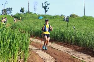 BIB: 
                            <button type="button" onclick="openModal(13305254)" class="btn btn-primary btn-sm float-right btn-popup" data-toggle="modal" data-target=".modal-high-quality">
                        <i class="fas fa-shopping-cart"></i> Add to Cart
                    </button>
                                            <button type="button" onclick="isThisMe(13305254, true)" class="btn btn-success btn-sm float-right btn-popup btn-isme hidden" data-toggle="tooltip" data-placement="bottom" title="นี่คือรูปของคุณใช่ไหม คลิกที่นี่เพื่อเอาเข้าอัลบั้ม">
                        <i class="fas fa-plus"></i> Add to album
                    </button>
                    <button type="button" onclick="isThisMe(13305254, false)" class="btn btn-warning btn-sm float-right btn-popup btn-isnotme hidden">
                        <i class="fas fa-ban"></i> Remove from album
                    </button>