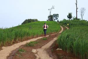 BIB: 
                            <button type="button" onclick="openModal(13304451)" class="btn btn-primary btn-sm float-right btn-popup" data-toggle="modal" data-target=".modal-high-quality">
                        <i class="fas fa-shopping-cart"></i> Add to Cart
                    </button>
                                            <button type="button" onclick="isThisMe(13304451, true)" class="btn btn-success btn-sm float-right btn-popup btn-isme hidden" data-toggle="tooltip" data-placement="bottom" title="นี่คือรูปของคุณใช่ไหม คลิกที่นี่เพื่อเอาเข้าอัลบั้ม">
                        <i class="fas fa-plus"></i> Add to album
                    </button>
                    <button type="button" onclick="isThisMe(13304451, false)" class="btn btn-warning btn-sm float-right btn-popup btn-isnotme hidden">
                        <i class="fas fa-ban"></i> Remove from album
                    </button>