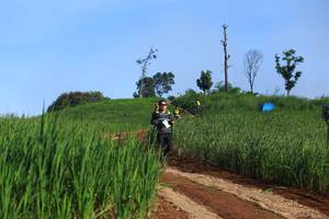 BIB: 
                            <button type="button" onclick="openModal(13305295)" class="btn btn-primary btn-sm float-right btn-popup" data-toggle="modal" data-target=".modal-high-quality">
                        <i class="fas fa-shopping-cart"></i> Add to Cart
                    </button>
                                            <button type="button" onclick="isThisMe(13305295, true)" class="btn btn-success btn-sm float-right btn-popup btn-isme hidden" data-toggle="tooltip" data-placement="bottom" title="นี่คือรูปของคุณใช่ไหม คลิกที่นี่เพื่อเอาเข้าอัลบั้ม">
                        <i class="fas fa-plus"></i> Add to album
                    </button>
                    <button type="button" onclick="isThisMe(13305295, false)" class="btn btn-warning btn-sm float-right btn-popup btn-isnotme hidden">
                        <i class="fas fa-ban"></i> Remove from album
                    </button>