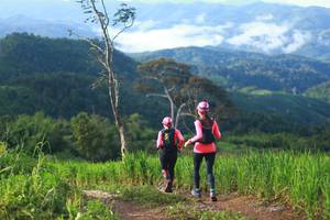 BIB: 
                            <button type="button" onclick="openModal(13305014)" class="btn btn-primary btn-sm float-right btn-popup" data-toggle="modal" data-target=".modal-high-quality">
                        <i class="fas fa-shopping-cart"></i> Add to Cart
                    </button>
                                            <button type="button" onclick="isThisMe(13305014, true)" class="btn btn-success btn-sm float-right btn-popup btn-isme hidden" data-toggle="tooltip" data-placement="bottom" title="นี่คือรูปของคุณใช่ไหม คลิกที่นี่เพื่อเอาเข้าอัลบั้ม">
                        <i class="fas fa-plus"></i> Add to album
                    </button>
                    <button type="button" onclick="isThisMe(13305014, false)" class="btn btn-warning btn-sm float-right btn-popup btn-isnotme hidden">
                        <i class="fas fa-ban"></i> Remove from album
                    </button>