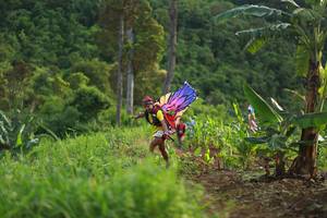 BIB: 
                            <button type="button" onclick="openModal(13304071)" class="btn btn-primary btn-sm float-right btn-popup" data-toggle="modal" data-target=".modal-high-quality">
                        <i class="fas fa-shopping-cart"></i> Add to Cart
                    </button>
                                            <button type="button" onclick="isThisMe(13304071, true)" class="btn btn-success btn-sm float-right btn-popup btn-isme hidden" data-toggle="tooltip" data-placement="bottom" title="นี่คือรูปของคุณใช่ไหม คลิกที่นี่เพื่อเอาเข้าอัลบั้ม">
                        <i class="fas fa-plus"></i> Add to album
                    </button>
                    <button type="button" onclick="isThisMe(13304071, false)" class="btn btn-warning btn-sm float-right btn-popup btn-isnotme hidden">
                        <i class="fas fa-ban"></i> Remove from album
                    </button>