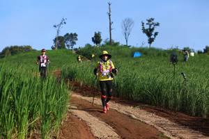 BIB: 
                            <button type="button" onclick="openModal(13305255)" class="btn btn-primary btn-sm float-right btn-popup" data-toggle="modal" data-target=".modal-high-quality">
                        <i class="fas fa-shopping-cart"></i> Add to Cart
                    </button>
                                            <button type="button" onclick="isThisMe(13305255, true)" class="btn btn-success btn-sm float-right btn-popup btn-isme hidden" data-toggle="tooltip" data-placement="bottom" title="นี่คือรูปของคุณใช่ไหม คลิกที่นี่เพื่อเอาเข้าอัลบั้ม">
                        <i class="fas fa-plus"></i> Add to album
                    </button>
                    <button type="button" onclick="isThisMe(13305255, false)" class="btn btn-warning btn-sm float-right btn-popup btn-isnotme hidden">
                        <i class="fas fa-ban"></i> Remove from album
                    </button>