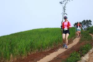 BIB: 
                            <button type="button" onclick="openModal(13304476)" class="btn btn-primary btn-sm float-right btn-popup" data-toggle="modal" data-target=".modal-high-quality">
                        <i class="fas fa-shopping-cart"></i> Add to Cart
                    </button>
                                            <button type="button" onclick="isThisMe(13304476, true)" class="btn btn-success btn-sm float-right btn-popup btn-isme hidden" data-toggle="tooltip" data-placement="bottom" title="นี่คือรูปของคุณใช่ไหม คลิกที่นี่เพื่อเอาเข้าอัลบั้ม">
                        <i class="fas fa-plus"></i> Add to album
                    </button>
                    <button type="button" onclick="isThisMe(13304476, false)" class="btn btn-warning btn-sm float-right btn-popup btn-isnotme hidden">
                        <i class="fas fa-ban"></i> Remove from album
                    </button>