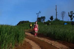 BIB: 
                            <button type="button" onclick="openModal(13305337)" class="btn btn-primary btn-sm float-right btn-popup" data-toggle="modal" data-target=".modal-high-quality">
                        <i class="fas fa-shopping-cart"></i> Add to Cart
                    </button>
                                            <button type="button" onclick="isThisMe(13305337, true)" class="btn btn-success btn-sm float-right btn-popup btn-isme hidden" data-toggle="tooltip" data-placement="bottom" title="นี่คือรูปของคุณใช่ไหม คลิกที่นี่เพื่อเอาเข้าอัลบั้ม">
                        <i class="fas fa-plus"></i> Add to album
                    </button>
                    <button type="button" onclick="isThisMe(13305337, false)" class="btn btn-warning btn-sm float-right btn-popup btn-isnotme hidden">
                        <i class="fas fa-ban"></i> Remove from album
                    </button>