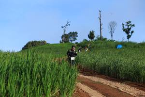 BIB: 
                            <button type="button" onclick="openModal(13305290)" class="btn btn-primary btn-sm float-right btn-popup" data-toggle="modal" data-target=".modal-high-quality">
                        <i class="fas fa-shopping-cart"></i> Add to Cart
                    </button>
                                            <button type="button" onclick="isThisMe(13305290, true)" class="btn btn-success btn-sm float-right btn-popup btn-isme hidden" data-toggle="tooltip" data-placement="bottom" title="นี่คือรูปของคุณใช่ไหม คลิกที่นี่เพื่อเอาเข้าอัลบั้ม">
                        <i class="fas fa-plus"></i> Add to album
                    </button>
                    <button type="button" onclick="isThisMe(13305290, false)" class="btn btn-warning btn-sm float-right btn-popup btn-isnotme hidden">
                        <i class="fas fa-ban"></i> Remove from album
                    </button>