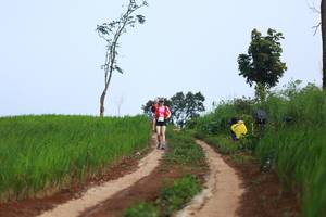 BIB: 
                            <button type="button" onclick="openModal(13304474)" class="btn btn-primary btn-sm float-right btn-popup" data-toggle="modal" data-target=".modal-high-quality">
                        <i class="fas fa-shopping-cart"></i> Add to Cart
                    </button>
                                            <button type="button" onclick="isThisMe(13304474, true)" class="btn btn-success btn-sm float-right btn-popup btn-isme hidden" data-toggle="tooltip" data-placement="bottom" title="นี่คือรูปของคุณใช่ไหม คลิกที่นี่เพื่อเอาเข้าอัลบั้ม">
                        <i class="fas fa-plus"></i> Add to album
                    </button>
                    <button type="button" onclick="isThisMe(13304474, false)" class="btn btn-warning btn-sm float-right btn-popup btn-isnotme hidden">
                        <i class="fas fa-ban"></i> Remove from album
                    </button>