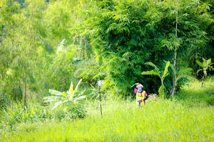 BIB: 
                            <button type="button" onclick="openModal(13331799)" class="btn btn-primary btn-sm float-right btn-popup" data-toggle="modal" data-target=".modal-high-quality">
                        <i class="fas fa-shopping-cart"></i> Add to Cart
                    </button>
                                            <button type="button" onclick="isThisMe(13331799, true)" class="btn btn-success btn-sm float-right btn-popup btn-isme hidden" data-toggle="tooltip" data-placement="bottom" title="นี่คือรูปของคุณใช่ไหม คลิกที่นี่เพื่อเอาเข้าอัลบั้ม">
                        <i class="fas fa-plus"></i> Add to album
                    </button>
                    <button type="button" onclick="isThisMe(13331799, false)" class="btn btn-warning btn-sm float-right btn-popup btn-isnotme hidden">
                        <i class="fas fa-ban"></i> Remove from album
                    </button>