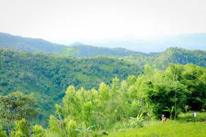 BIB: 
                            <button type="button" onclick="openModal(13331797)" class="btn btn-primary btn-sm float-right btn-popup" data-toggle="modal" data-target=".modal-high-quality">
                        <i class="fas fa-shopping-cart"></i> Add to Cart
                    </button>
                                            <button type="button" onclick="isThisMe(13331797, true)" class="btn btn-success btn-sm float-right btn-popup btn-isme hidden" data-toggle="tooltip" data-placement="bottom" title="นี่คือรูปของคุณใช่ไหม คลิกที่นี่เพื่อเอาเข้าอัลบั้ม">
                        <i class="fas fa-plus"></i> Add to album
                    </button>
                    <button type="button" onclick="isThisMe(13331797, false)" class="btn btn-warning btn-sm float-right btn-popup btn-isnotme hidden">
                        <i class="fas fa-ban"></i> Remove from album
                    </button>