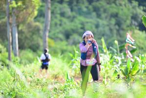 BIB: 220
                            <button type="button" onclick="openModal(13308990)" class="btn btn-primary btn-sm float-right btn-popup" data-toggle="modal" data-target=".modal-high-quality">
                        <i class="fas fa-shopping-cart"></i> Add to Cart
                    </button>
                                            <button type="button" onclick="isThisMe(13308990, true)" class="btn btn-success btn-sm float-right btn-popup btn-isme hidden" data-toggle="tooltip" data-placement="bottom" title="นี่คือรูปของคุณใช่ไหม คลิกที่นี่เพื่อเอาเข้าอัลบั้ม">
                        <i class="fas fa-plus"></i> Add to album
                    </button>
                    <button type="button" onclick="isThisMe(13308990, false)" class="btn btn-warning btn-sm float-right btn-popup btn-isnotme hidden">
                        <i class="fas fa-ban"></i> Remove from album
                    </button>