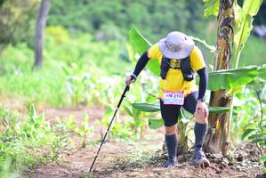 BIB: 2122
                            <button type="button" onclick="openModal(13312008)" class="btn btn-primary btn-sm float-right btn-popup" data-toggle="modal" data-target=".modal-high-quality">
                        <i class="fas fa-shopping-cart"></i> Add to Cart
                    </button>
                                            <button type="button" onclick="isThisMe(13312008, true)" class="btn btn-success btn-sm float-right btn-popup btn-isme hidden" data-toggle="tooltip" data-placement="bottom" title="นี่คือรูปของคุณใช่ไหม คลิกที่นี่เพื่อเอาเข้าอัลบั้ม">
                        <i class="fas fa-plus"></i> Add to album
                    </button>
                    <button type="button" onclick="isThisMe(13312008, false)" class="btn btn-warning btn-sm float-right btn-popup btn-isnotme hidden">
                        <i class="fas fa-ban"></i> Remove from album
                    </button>