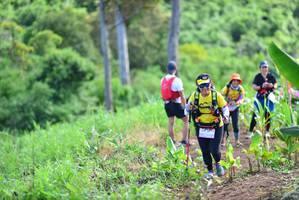 BIB: 
                            <button type="button" onclick="openModal(13310812)" class="btn btn-primary btn-sm float-right btn-popup" data-toggle="modal" data-target=".modal-high-quality">
                        <i class="fas fa-shopping-cart"></i> Add to Cart
                    </button>
                                            <button type="button" onclick="isThisMe(13310812, true)" class="btn btn-success btn-sm float-right btn-popup btn-isme hidden" data-toggle="tooltip" data-placement="bottom" title="นี่คือรูปของคุณใช่ไหม คลิกที่นี่เพื่อเอาเข้าอัลบั้ม">
                        <i class="fas fa-plus"></i> Add to album
                    </button>
                    <button type="button" onclick="isThisMe(13310812, false)" class="btn btn-warning btn-sm float-right btn-popup btn-isnotme hidden">
                        <i class="fas fa-ban"></i> Remove from album
                    </button>