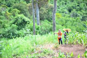 BIB: 
                            <button type="button" onclick="openModal(13312183)" class="btn btn-primary btn-sm float-right btn-popup" data-toggle="modal" data-target=".modal-high-quality">
                        <i class="fas fa-shopping-cart"></i> Add to Cart
                    </button>
                                            <button type="button" onclick="isThisMe(13312183, true)" class="btn btn-success btn-sm float-right btn-popup btn-isme hidden" data-toggle="tooltip" data-placement="bottom" title="นี่คือรูปของคุณใช่ไหม คลิกที่นี่เพื่อเอาเข้าอัลบั้ม">
                        <i class="fas fa-plus"></i> Add to album
                    </button>
                    <button type="button" onclick="isThisMe(13312183, false)" class="btn btn-warning btn-sm float-right btn-popup btn-isnotme hidden">
                        <i class="fas fa-ban"></i> Remove from album
                    </button>