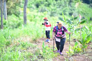 BIB: 2014
                            <button type="button" onclick="openModal(13312074)" class="btn btn-primary btn-sm float-right btn-popup" data-toggle="modal" data-target=".modal-high-quality">
                        <i class="fas fa-shopping-cart"></i> Add to Cart
                    </button>
                                            <button type="button" onclick="isThisMe(13312074, true)" class="btn btn-success btn-sm float-right btn-popup btn-isme hidden" data-toggle="tooltip" data-placement="bottom" title="นี่คือรูปของคุณใช่ไหม คลิกที่นี่เพื่อเอาเข้าอัลบั้ม">
                        <i class="fas fa-plus"></i> Add to album
                    </button>
                    <button type="button" onclick="isThisMe(13312074, false)" class="btn btn-warning btn-sm float-right btn-popup btn-isnotme hidden">
                        <i class="fas fa-ban"></i> Remove from album
                    </button>