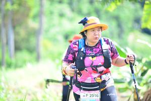 BIB: 2016
                            <button type="button" onclick="openModal(13312110)" class="btn btn-primary btn-sm float-right btn-popup" data-toggle="modal" data-target=".modal-high-quality">
                        <i class="fas fa-shopping-cart"></i> Add to Cart
                    </button>
                                            <button type="button" onclick="isThisMe(13312110, true)" class="btn btn-success btn-sm float-right btn-popup btn-isme hidden" data-toggle="tooltip" data-placement="bottom" title="นี่คือรูปของคุณใช่ไหม คลิกที่นี่เพื่อเอาเข้าอัลบั้ม">
                        <i class="fas fa-plus"></i> Add to album
                    </button>
                    <button type="button" onclick="isThisMe(13312110, false)" class="btn btn-warning btn-sm float-right btn-popup btn-isnotme hidden">
                        <i class="fas fa-ban"></i> Remove from album
                    </button>