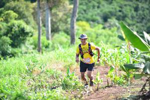 BIB: 
                            <button type="button" onclick="openModal(13311337)" class="btn btn-primary btn-sm float-right btn-popup" data-toggle="modal" data-target=".modal-high-quality">
                        <i class="fas fa-shopping-cart"></i> Add to Cart
                    </button>
                                            <button type="button" onclick="isThisMe(13311337, true)" class="btn btn-success btn-sm float-right btn-popup btn-isme hidden" data-toggle="tooltip" data-placement="bottom" title="นี่คือรูปของคุณใช่ไหม คลิกที่นี่เพื่อเอาเข้าอัลบั้ม">
                        <i class="fas fa-plus"></i> Add to album
                    </button>
                    <button type="button" onclick="isThisMe(13311337, false)" class="btn btn-warning btn-sm float-right btn-popup btn-isnotme hidden">
                        <i class="fas fa-ban"></i> Remove from album
                    </button>