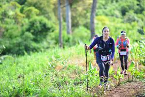 BIB: 
                            <button type="button" onclick="openModal(13310657)" class="btn btn-primary btn-sm float-right btn-popup" data-toggle="modal" data-target=".modal-high-quality">
                        <i class="fas fa-shopping-cart"></i> Add to Cart
                    </button>
                                            <button type="button" onclick="isThisMe(13310657, true)" class="btn btn-success btn-sm float-right btn-popup btn-isme hidden" data-toggle="tooltip" data-placement="bottom" title="นี่คือรูปของคุณใช่ไหม คลิกที่นี่เพื่อเอาเข้าอัลบั้ม">
                        <i class="fas fa-plus"></i> Add to album
                    </button>
                    <button type="button" onclick="isThisMe(13310657, false)" class="btn btn-warning btn-sm float-right btn-popup btn-isnotme hidden">
                        <i class="fas fa-ban"></i> Remove from album
                    </button>