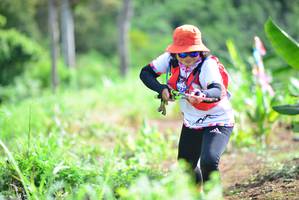 BIB: 
                            <button type="button" onclick="openModal(13312126)" class="btn btn-primary btn-sm float-right btn-popup" data-toggle="modal" data-target=".modal-high-quality">
                        <i class="fas fa-shopping-cart"></i> Add to Cart
                    </button>
                                            <button type="button" onclick="isThisMe(13312126, true)" class="btn btn-success btn-sm float-right btn-popup btn-isme hidden" data-toggle="tooltip" data-placement="bottom" title="นี่คือรูปของคุณใช่ไหม คลิกที่นี่เพื่อเอาเข้าอัลบั้ม">
                        <i class="fas fa-plus"></i> Add to album
                    </button>
                    <button type="button" onclick="isThisMe(13312126, false)" class="btn btn-warning btn-sm float-right btn-popup btn-isnotme hidden">
                        <i class="fas fa-ban"></i> Remove from album
                    </button>