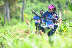 BIB: 2068
                            <button type="button" onclick="openModal(13310252)" class="btn btn-primary btn-sm float-right btn-popup" data-toggle="modal" data-target=".modal-high-quality">
                        <i class="fas fa-shopping-cart"></i> Add to Cart
                    </button>
                                            <button type="button" onclick="isThisMe(13310252, true)" class="btn btn-success btn-sm float-right btn-popup btn-isme hidden" data-toggle="tooltip" data-placement="bottom" title="นี่คือรูปของคุณใช่ไหม คลิกที่นี่เพื่อเอาเข้าอัลบั้ม">
                        <i class="fas fa-plus"></i> Add to album
                    </button>
                    <button type="button" onclick="isThisMe(13310252, false)" class="btn btn-warning btn-sm float-right btn-popup btn-isnotme hidden">
                        <i class="fas fa-ban"></i> Remove from album
                    </button>