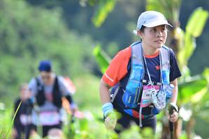 BIB: 
                            <button type="button" onclick="openModal(13309661)" class="btn btn-primary btn-sm float-right btn-popup" data-toggle="modal" data-target=".modal-high-quality">
                        <i class="fas fa-shopping-cart"></i> Add to Cart
                    </button>
                                            <button type="button" onclick="isThisMe(13309661, true)" class="btn btn-success btn-sm float-right btn-popup btn-isme hidden" data-toggle="tooltip" data-placement="bottom" title="นี่คือรูปของคุณใช่ไหม คลิกที่นี่เพื่อเอาเข้าอัลบั้ม">
                        <i class="fas fa-plus"></i> Add to album
                    </button>
                    <button type="button" onclick="isThisMe(13309661, false)" class="btn btn-warning btn-sm float-right btn-popup btn-isnotme hidden">
                        <i class="fas fa-ban"></i> Remove from album
                    </button>