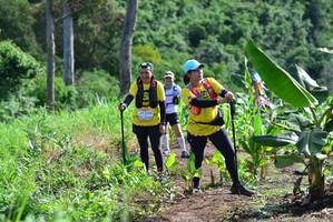 BIB: 
                            <button type="button" onclick="openModal(13311247)" class="btn btn-primary btn-sm float-right btn-popup" data-toggle="modal" data-target=".modal-high-quality">
                        <i class="fas fa-shopping-cart"></i> Add to Cart
                    </button>
                                            <button type="button" onclick="isThisMe(13311247, true)" class="btn btn-success btn-sm float-right btn-popup btn-isme hidden" data-toggle="tooltip" data-placement="bottom" title="นี่คือรูปของคุณใช่ไหม คลิกที่นี่เพื่อเอาเข้าอัลบั้ม">
                        <i class="fas fa-plus"></i> Add to album
                    </button>
                    <button type="button" onclick="isThisMe(13311247, false)" class="btn btn-warning btn-sm float-right btn-popup btn-isnotme hidden">
                        <i class="fas fa-ban"></i> Remove from album
                    </button>