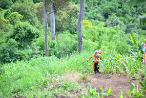 BIB: 
                            <button type="button" onclick="openModal(13312182)" class="btn btn-primary btn-sm float-right btn-popup" data-toggle="modal" data-target=".modal-high-quality">
                        <i class="fas fa-shopping-cart"></i> Add to Cart
                    </button>
                                            <button type="button" onclick="isThisMe(13312182, true)" class="btn btn-success btn-sm float-right btn-popup btn-isme hidden" data-toggle="tooltip" data-placement="bottom" title="นี่คือรูปของคุณใช่ไหม คลิกที่นี่เพื่อเอาเข้าอัลบั้ม">
                        <i class="fas fa-plus"></i> Add to album
                    </button>
                    <button type="button" onclick="isThisMe(13312182, false)" class="btn btn-warning btn-sm float-right btn-popup btn-isnotme hidden">
                        <i class="fas fa-ban"></i> Remove from album
                    </button>