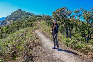 BIB: 
                            <button type="button" onclick="openModal(12937705)" class="btn btn-primary btn-sm float-right btn-popup" data-toggle="modal" data-target=".modal-high-quality">
                        <i class="fas fa-shopping-cart"></i> Add to Cart
                    </button>
                                            <button type="button" onclick="isThisMe(12937705, true)" class="btn btn-success btn-sm float-right btn-popup btn-isme hidden" data-toggle="tooltip" data-placement="bottom" title="นี่คือรูปของคุณใช่ไหม คลิกที่นี่เพื่อเอาเข้าอัลบั้ม">
                        <i class="fas fa-plus"></i> Add to album
                    </button>
                    <button type="button" onclick="isThisMe(12937705, false)" class="btn btn-warning btn-sm float-right btn-popup btn-isnotme hidden">
                        <i class="fas fa-ban"></i> Remove from album
                    </button>