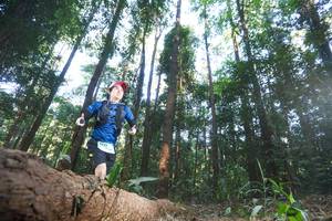 BIB: 0073
                            <button type="button" onclick="openModal(12980015)" class="btn btn-primary btn-sm float-right btn-popup" data-toggle="modal" data-target=".modal-high-quality">
                        <i class="fas fa-shopping-cart"></i> Add to Cart
                    </button>
                                            <button type="button" onclick="isThisMe(12980015, true)" class="btn btn-success btn-sm float-right btn-popup btn-isme hidden" data-toggle="tooltip" data-placement="bottom" title="นี่คือรูปของคุณใช่ไหม คลิกที่นี่เพื่อเอาเข้าอัลบั้ม">
                        <i class="fas fa-plus"></i> Add to album
                    </button>
                    <button type="button" onclick="isThisMe(12980015, false)" class="btn btn-warning btn-sm float-right btn-popup btn-isnotme hidden">
                        <i class="fas fa-ban"></i> Remove from album
                    </button>