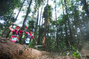 BIB: 
                            <button type="button" onclick="openModal(12979996)" class="btn btn-primary btn-sm float-right btn-popup" data-toggle="modal" data-target=".modal-high-quality">
                        <i class="fas fa-shopping-cart"></i> Add to Cart
                    </button>
                                            <button type="button" onclick="isThisMe(12979996, true)" class="btn btn-success btn-sm float-right btn-popup btn-isme hidden" data-toggle="tooltip" data-placement="bottom" title="นี่คือรูปของคุณใช่ไหม คลิกที่นี่เพื่อเอาเข้าอัลบั้ม">
                        <i class="fas fa-plus"></i> Add to album
                    </button>
                    <button type="button" onclick="isThisMe(12979996, false)" class="btn btn-warning btn-sm float-right btn-popup btn-isnotme hidden">
                        <i class="fas fa-ban"></i> Remove from album
                    </button>