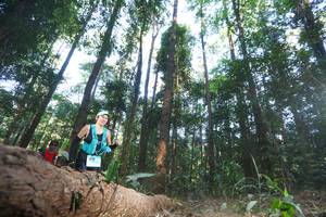 BIB: 
                            <button type="button" onclick="openModal(12980026)" class="btn btn-primary btn-sm float-right btn-popup" data-toggle="modal" data-target=".modal-high-quality">
                        <i class="fas fa-shopping-cart"></i> Add to Cart
                    </button>
                                            <button type="button" onclick="isThisMe(12980026, true)" class="btn btn-success btn-sm float-right btn-popup btn-isme hidden" data-toggle="tooltip" data-placement="bottom" title="นี่คือรูปของคุณใช่ไหม คลิกที่นี่เพื่อเอาเข้าอัลบั้ม">
                        <i class="fas fa-plus"></i> Add to album
                    </button>
                    <button type="button" onclick="isThisMe(12980026, false)" class="btn btn-warning btn-sm float-right btn-popup btn-isnotme hidden">
                        <i class="fas fa-ban"></i> Remove from album
                    </button>