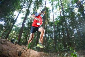 BIB: 
                            <button type="button" onclick="openModal(12980031)" class="btn btn-primary btn-sm float-right btn-popup" data-toggle="modal" data-target=".modal-high-quality">
                        <i class="fas fa-shopping-cart"></i> Add to Cart
                    </button>
                                            <button type="button" onclick="isThisMe(12980031, true)" class="btn btn-success btn-sm float-right btn-popup btn-isme hidden" data-toggle="tooltip" data-placement="bottom" title="นี่คือรูปของคุณใช่ไหม คลิกที่นี่เพื่อเอาเข้าอัลบั้ม">
                        <i class="fas fa-plus"></i> Add to album
                    </button>
                    <button type="button" onclick="isThisMe(12980031, false)" class="btn btn-warning btn-sm float-right btn-popup btn-isnotme hidden">
                        <i class="fas fa-ban"></i> Remove from album
                    </button>